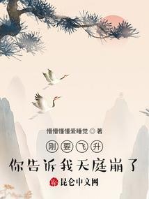请勿遵守规则