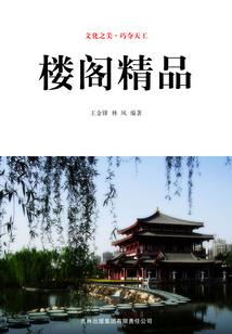 护花使者第五更