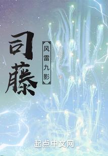 首席魔法学徒