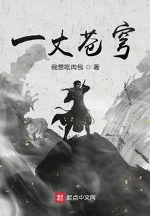 唯将此心寄山河