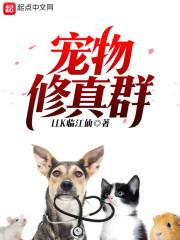 我要找齐九把钥匙武破虚空