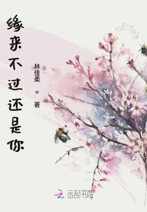 倾颜城