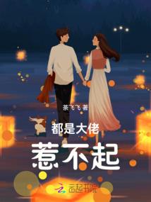 镶风金钗