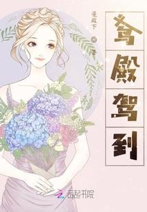 白龙风华引