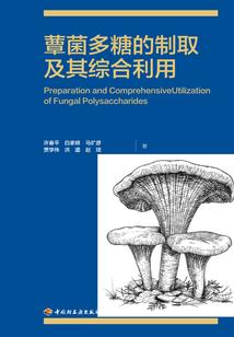 斗罗：剑道至尊