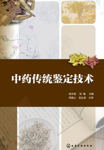 成王的征程