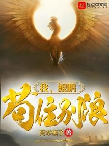 罪案之现场密码2