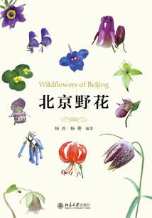 重生之吾凰万岁