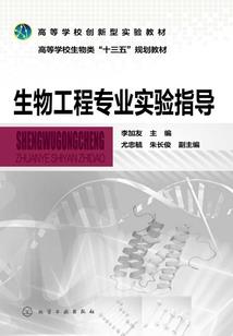 快穿之恋爱循环