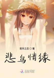 岛屿时代