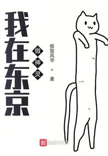 神奇宝贝之赏金猎人