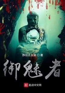 你是我最美的流星