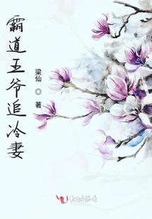 神奇宝贝之巅峰训练家