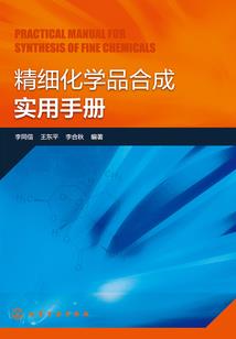 流岚之世界尽头