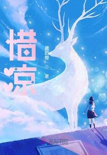 腹黑总裁的拽丫头