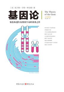 末世之绝世危机