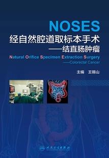 妃你不可之十里红妆