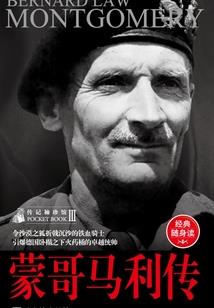 萧余容的实力