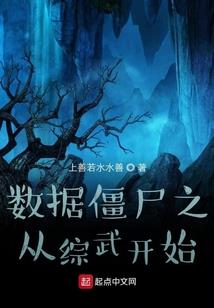 心梦奇缘