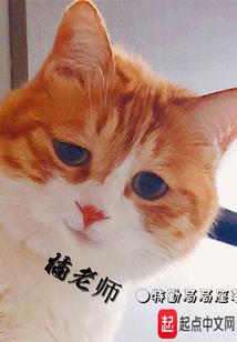 穿越成狐，我的御主是主角