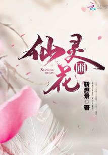 囧麻雀的滖穿越