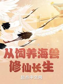 影之劫