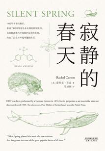 寂难永劫