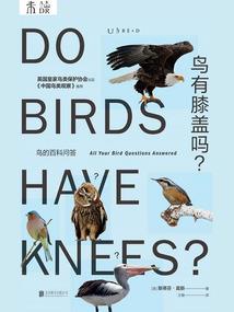 此生只能在梦里与你相遇
