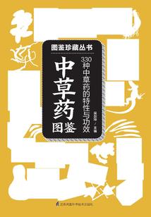 星际之征战系统