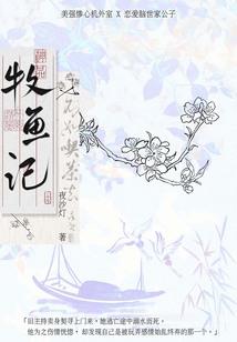鸟仙之传说