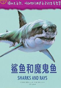 8号线班车