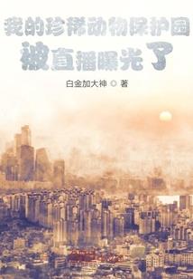 永恒教皇的传教之旅