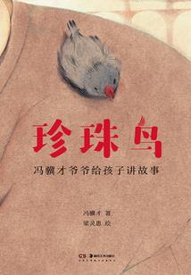 炽夜晨光