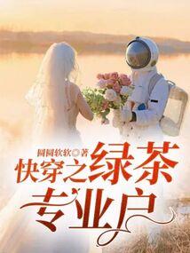 叶天星域