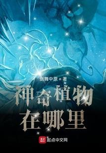 假如婚有天意(合作)