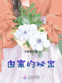 崇元月狐