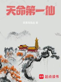创世石传说血脉