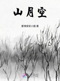 斗龙战士之落阳余辉