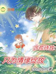 我的老婆要做宗主