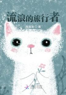 王爷的爱妃，遇见你遇见爱的国度