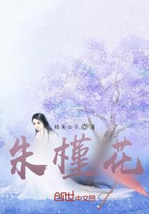 星尘余辉