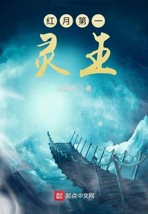 独宠公主魔妃