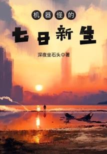 战星武月
