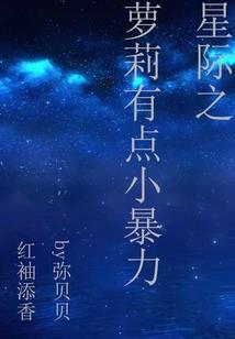 极品金领