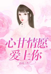 新龙珠传说