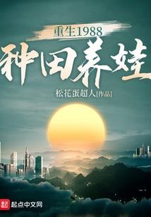 燃穹之巅