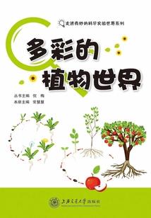 那个夏天最好的他