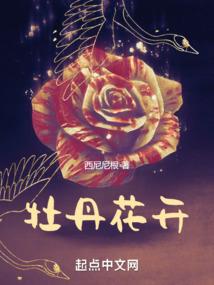 夕尚的世界