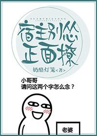 布衣客