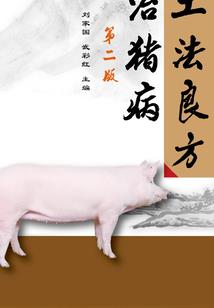 末世之暗影迷踪